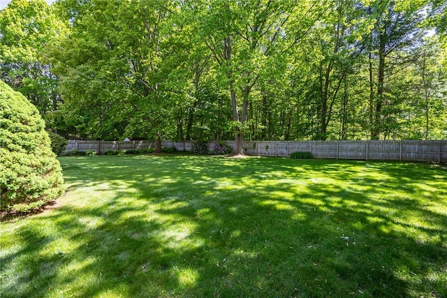 22 Red Leaf Dr, Chili, NY 14624 - view of fenced backyard