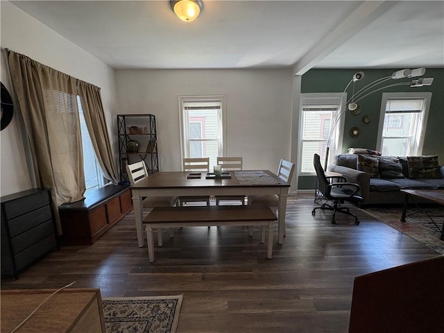 7 E St, Oneonta, NY 13820 - dining room with plenty of natural light and dark wood-style flooring