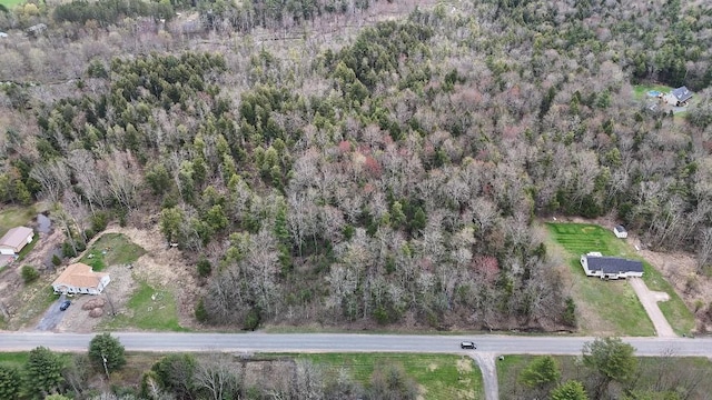 Slosson Rd, West Monroe, NY 13167 - photo 3