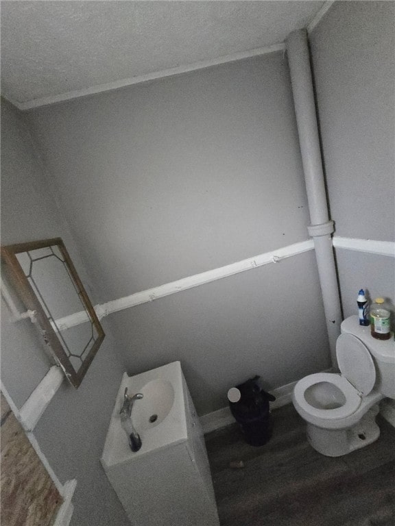 3 Kenmore St, Rochester, NY 14611 - bathroom with toilet