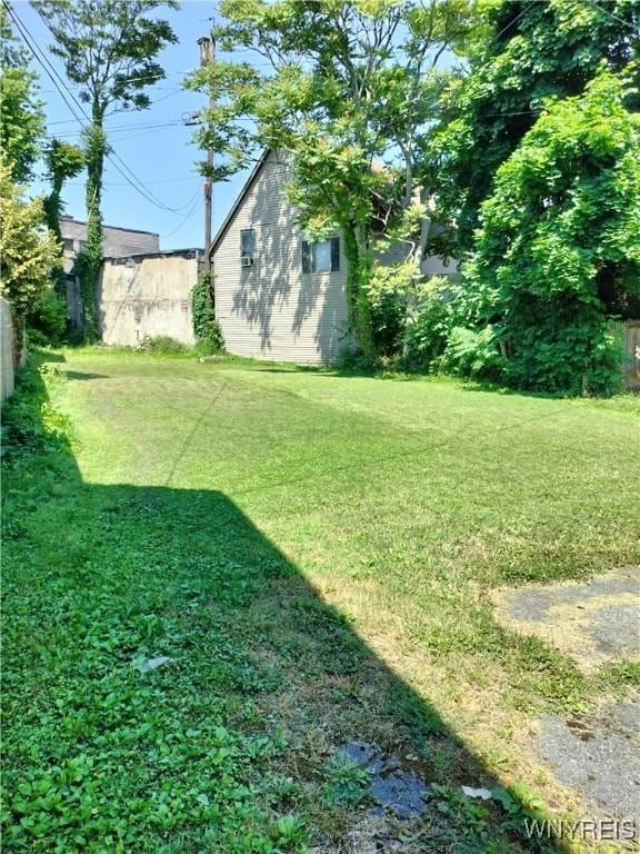 20 Chenango St, Buffalo, NY 14213 - view of grassy yard