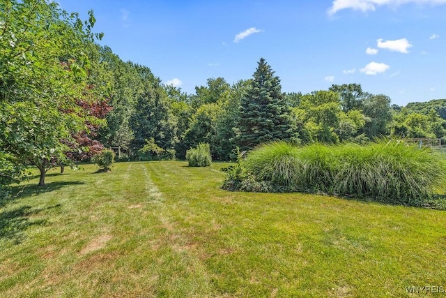 701 Walker Dr, Lewiston, NY 14092 - view of green lawn with a forest view
