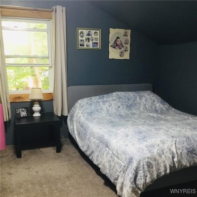 9512 Stillwater Rd, Watson, NY 13367 - bedroom with vaulted ceiling and carpet flooring
