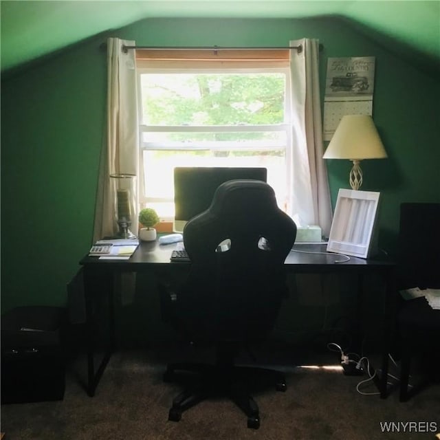 9512 Stillwater Rd, Watson, NY 13367 - carpeted home office featuring lofted ceiling