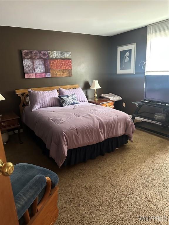 115 Old Lyme Dr Unit 3, Amherst, NY 14221 - photo 5