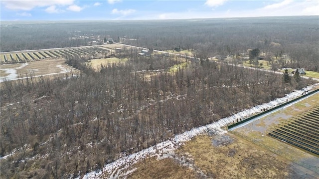 0 Redman Rd, Clarkson, NY 14420