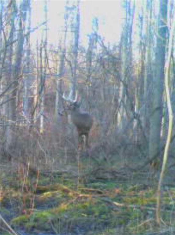 0 Redman Rd, Clarkson, NY 14420