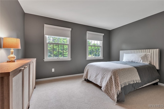 51 Hillsboro Dr, Orchard Park, NY 14127 - photo 31