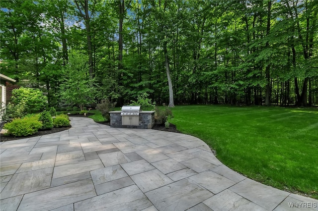 51 Hillsboro Dr, Orchard Park, NY 14127 - photo 45