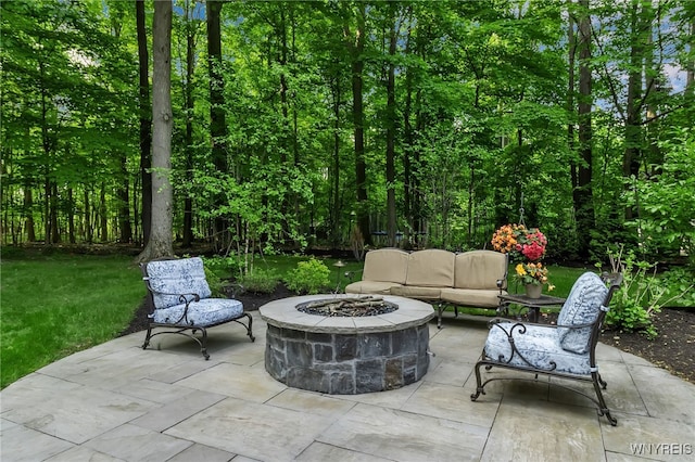 51 Hillsboro Dr, Orchard Park, NY 14127 - photo 46