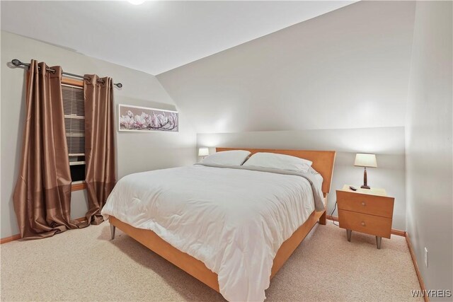 6425 Northwood Dr, Ellicottville, NY 14731 - photo 24