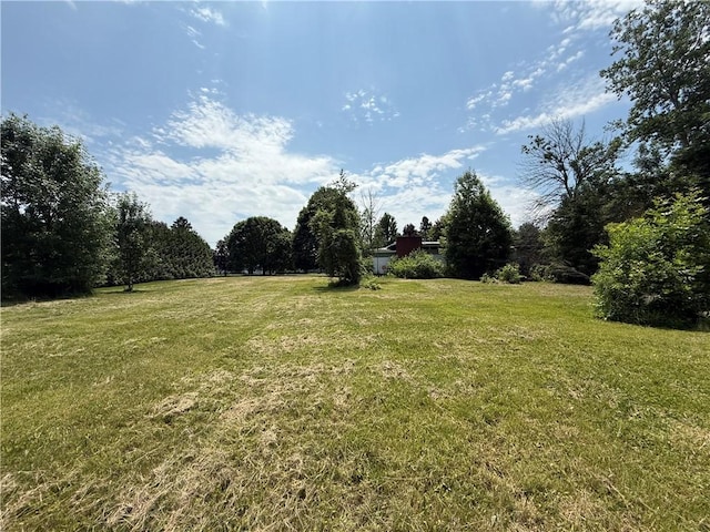 1270 English Rd, Greece, NY 14616 - view of green lawn
