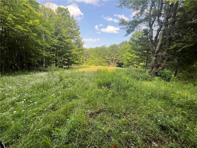 10806 W Caton Rd, Caton, NY 14830