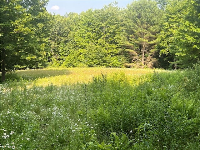 10806 W Caton Rd, Caton, NY 14830