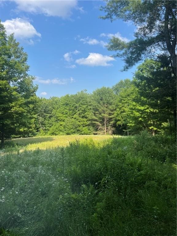 10806 W Caton Rd, Caton, NY 14830