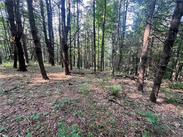 10806 W Caton Rd, Caton, NY 14830