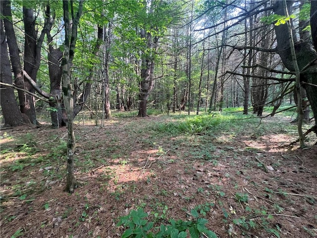 10806 W Caton Rd, Caton, NY 14830