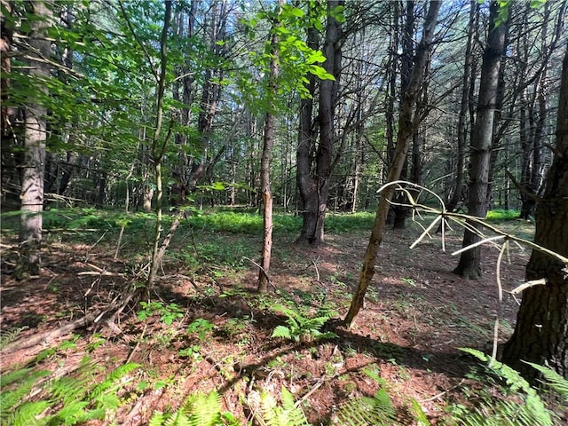 10806 W Caton Rd, Caton, NY 14830