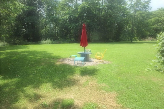 12263 Old State Rd, Victory, NY 13033 - photo 25