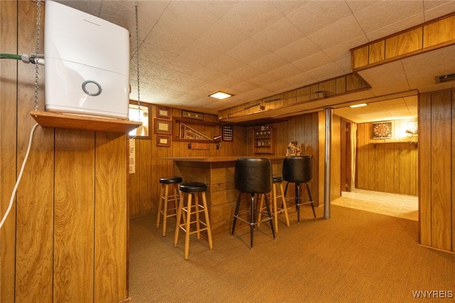 368 Cayuga Creek Rd, Cheektowaga, NY 14227 - indoor dry bar with carpet and wood walls