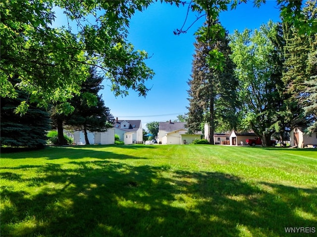 368 Cayuga Creek Rd, Cheektowaga, NY 14227 - view of grassy yard