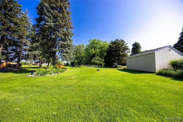 368 Cayuga Creek Rd, Cheektowaga, NY 14227 - view of grassy yard