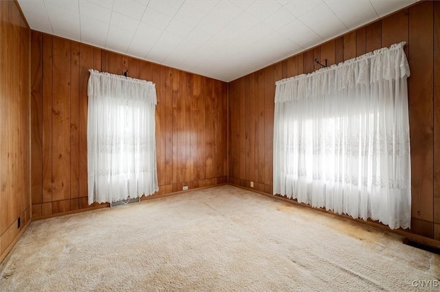51 State St, Vernon, NY 13421 - empty room with carpet floors and wood walls