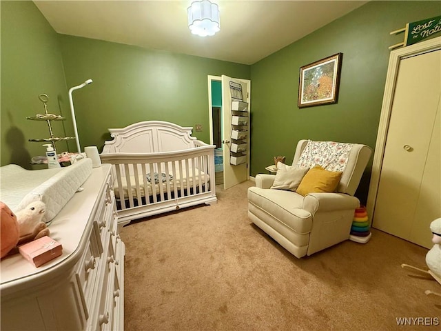 80 Fredro St, Buffalo, NY 14206 - bedroom with carpet flooring and a nursery area