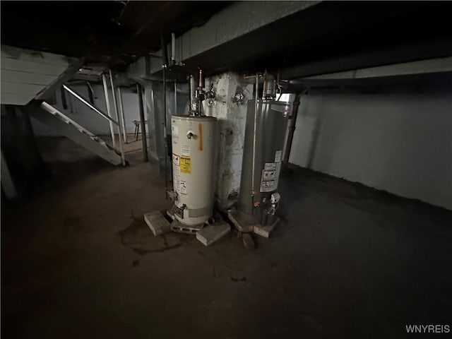 67 Holmes St, Buffalo, NY 14207 - unfinished below grade area with gas water heater