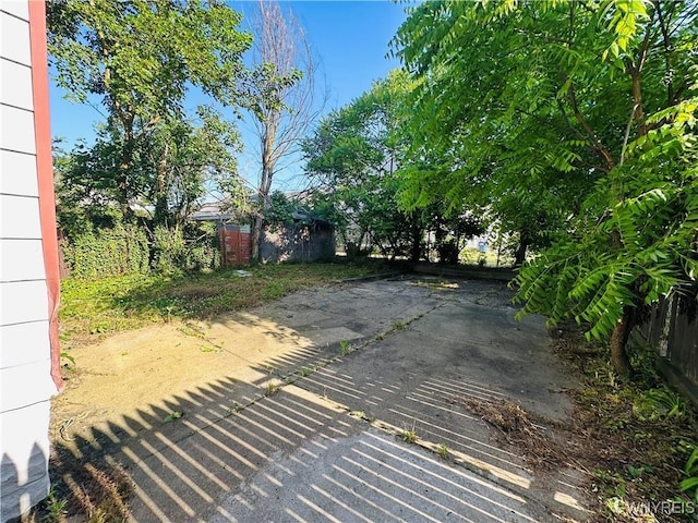 67 Holmes St, Buffalo, NY 14207 - view of yard