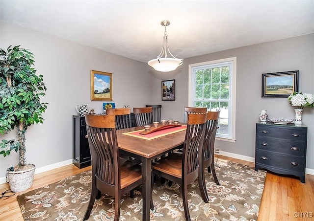 101 Luan Cir, Dewitt, NY 13078 - dining area featuring light wood-style floors