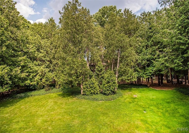 101 Luan Cir, Dewitt, NY 13078 - view of green lawn