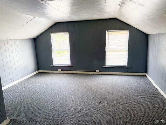 231 N Main St, Oneida, NY 13421 - bonus room with vaulted ceiling, carpet flooring, and wood walls