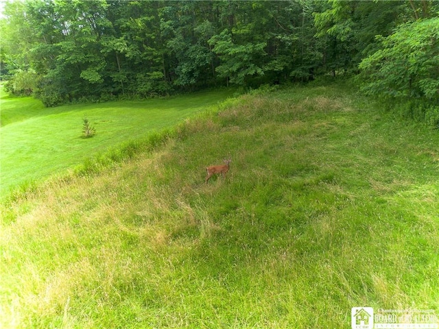 691 Kiantone Rd, Kiantone, NY 14701 - photo 43