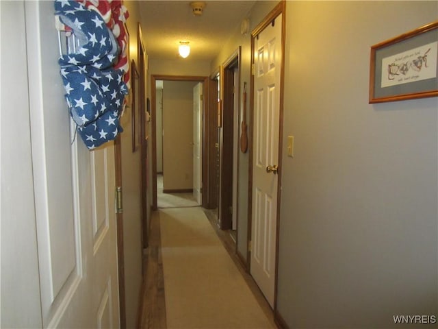 3930 Taylor Rd, Orchard Park, NY 14127 - photo 13