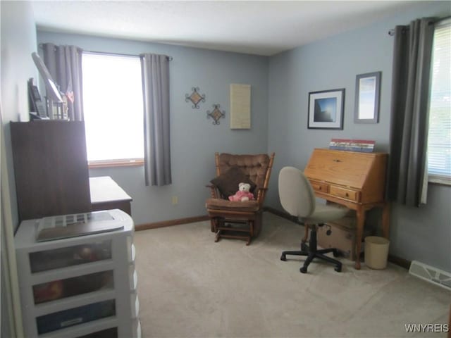 3930 Taylor Rd, Orchard Park, NY 14127 - photo 16
