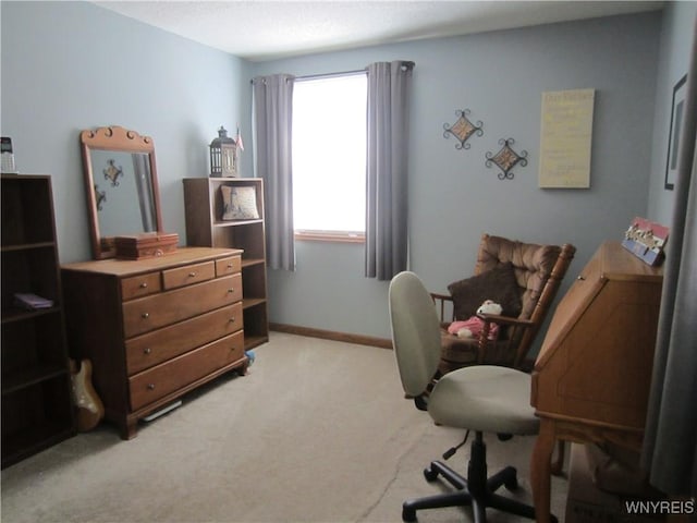 3930 Taylor Rd, Orchard Park, NY 14127 - photo 17