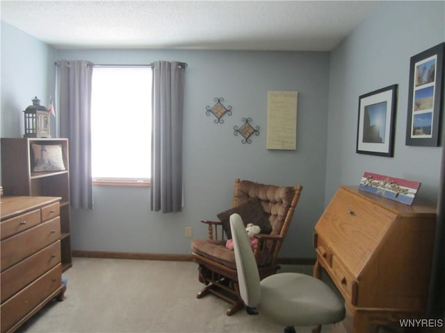 3930 Taylor Rd, Orchard Park, NY 14127 - photo 18
