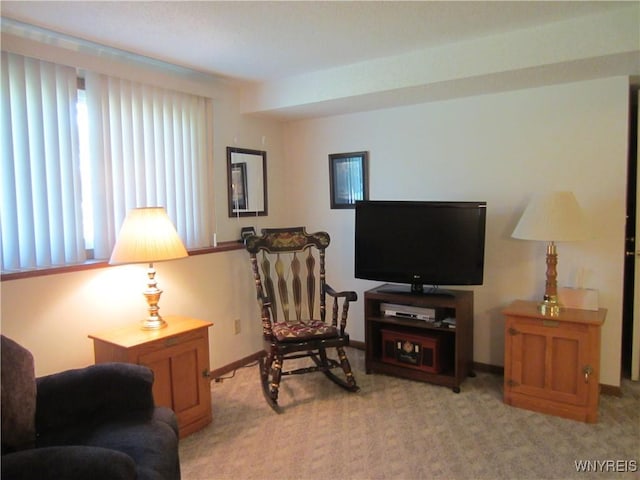 3930 Taylor Rd, Orchard Park, NY 14127 - photo 34