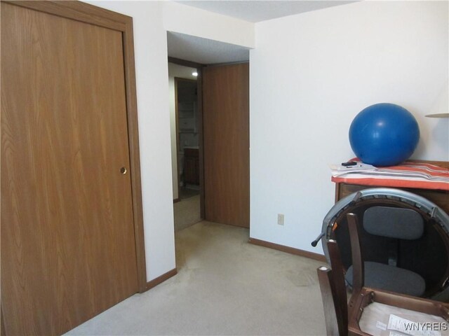 3930 Taylor Rd, Orchard Park, NY 14127 - photo 39