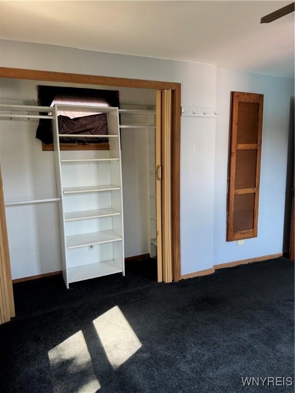 45 Clio Ave, Buffalo, NY 14220 - view of closet