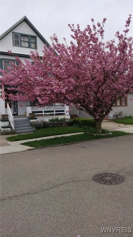 45 Clio Ave, Buffalo, NY 14220 - view of property
