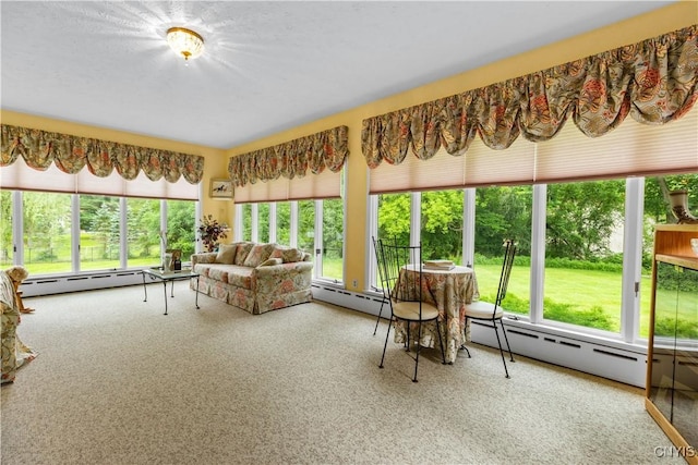 5 Hingham Rd, Utica, NY 13501 - sunroom / solarium featuring baseboard heating and carpet