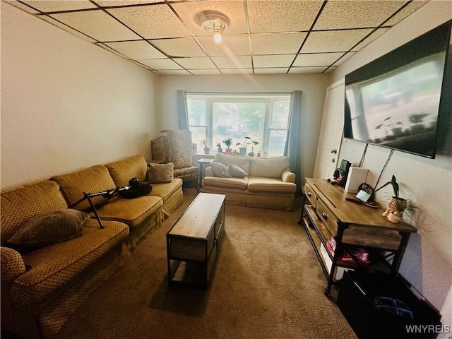 253 Gold St, Buffalo, NY 14206 - photo 23