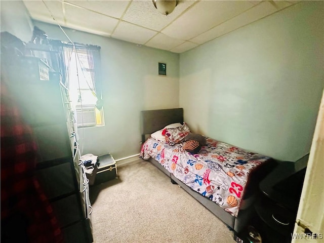253 Gold St, Buffalo, NY 14206 - photo 24