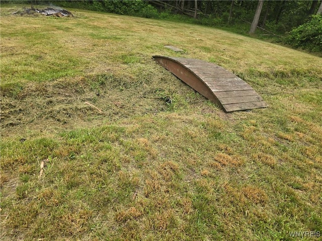12370 Lake Forest Ln Unit 42, Yates, NY 14098 - view of grassy yard