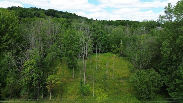 624 County Road 9, Victor, NY 14564 - photo 2