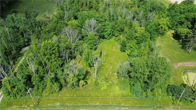 624 County Road 9, Victor, NY 14564 - photo 3