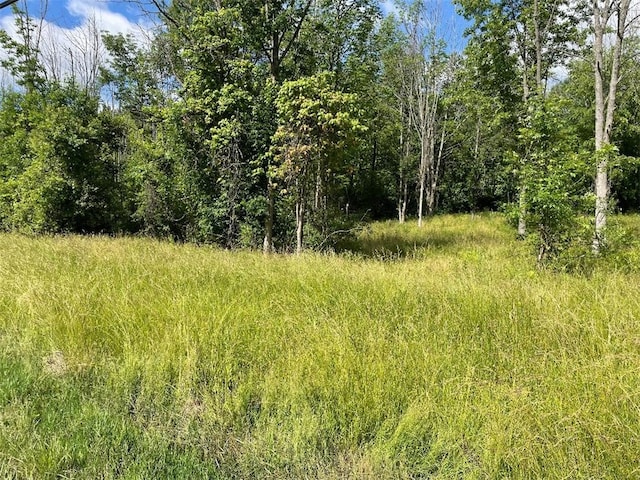 624 County Road 9, Victor, NY 14564 - photo 6