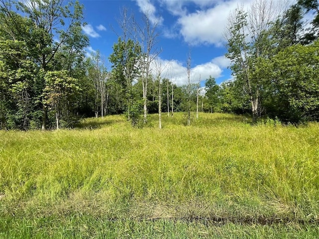 624 County Road 9, Victor, NY 14564 - photo 8